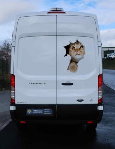 Cat hole wall decal funny pet sticker 3d animal decor