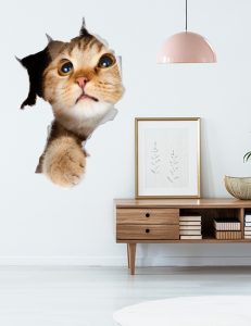 Cat hole wall decal funny pet sticker 3d animal decor
