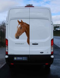 horse head 1 | SL Printing Horse head wall decal realistic animal sticker equestrian room decor